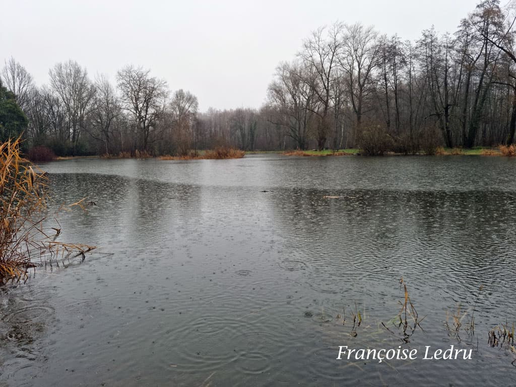 Que de pluie !