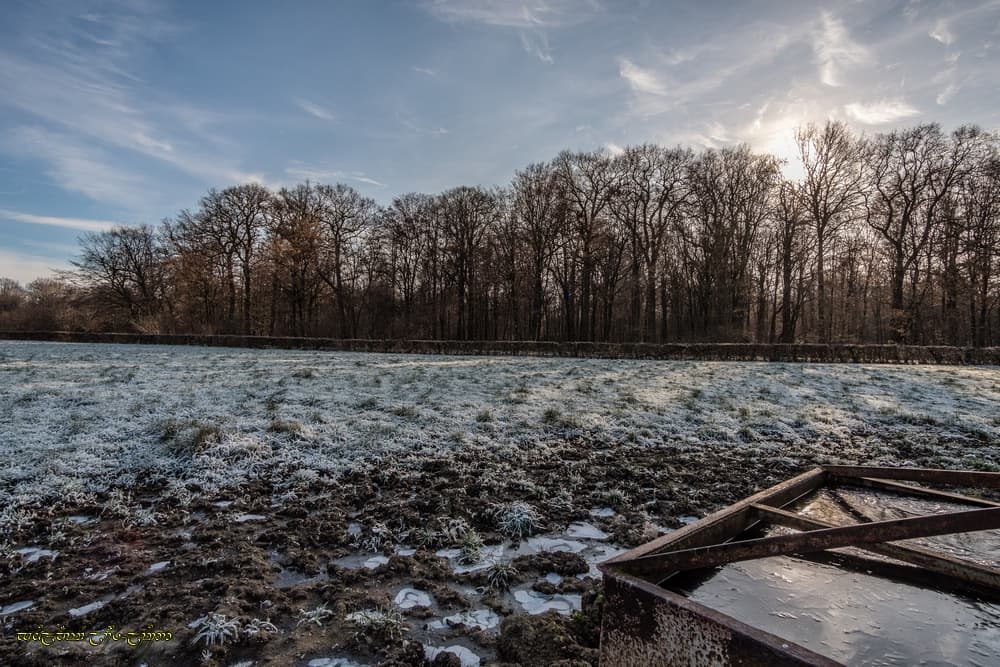 Pâle soleil d'hiver