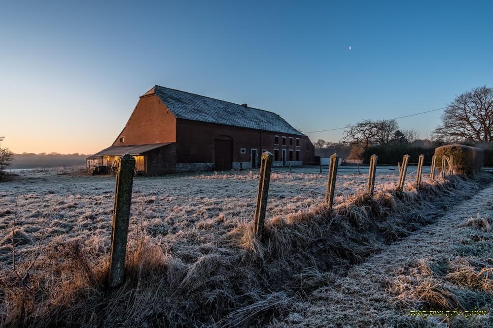 Fraîcheur sous la Lune