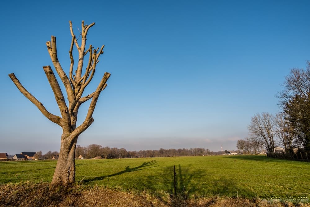 Derniers instants de lumière