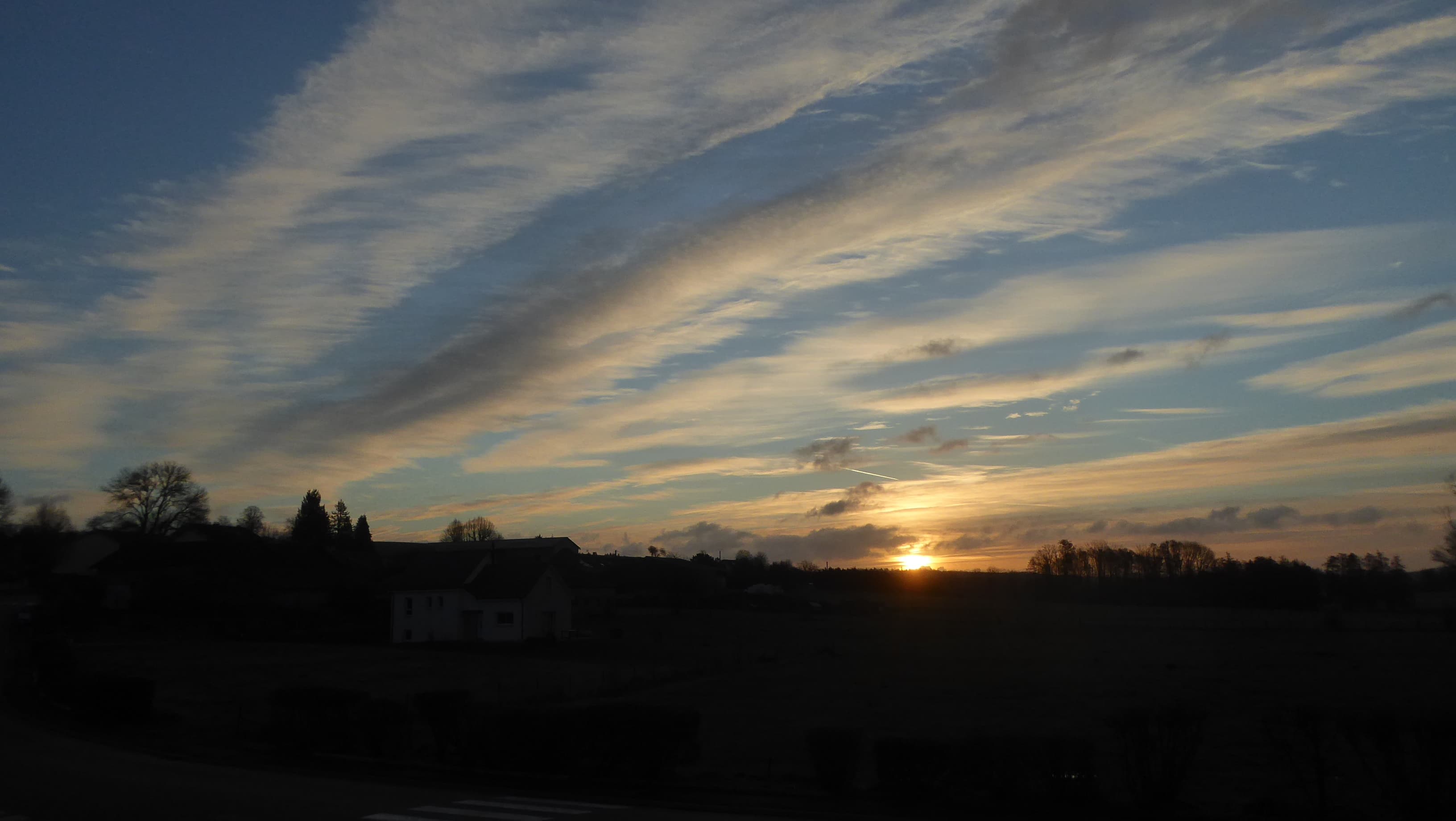 Cirrus du matin