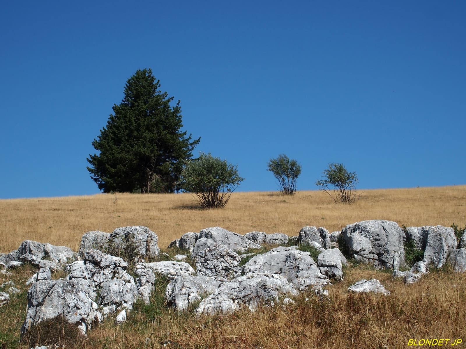 Sécheresse sur le plateau des Ramées