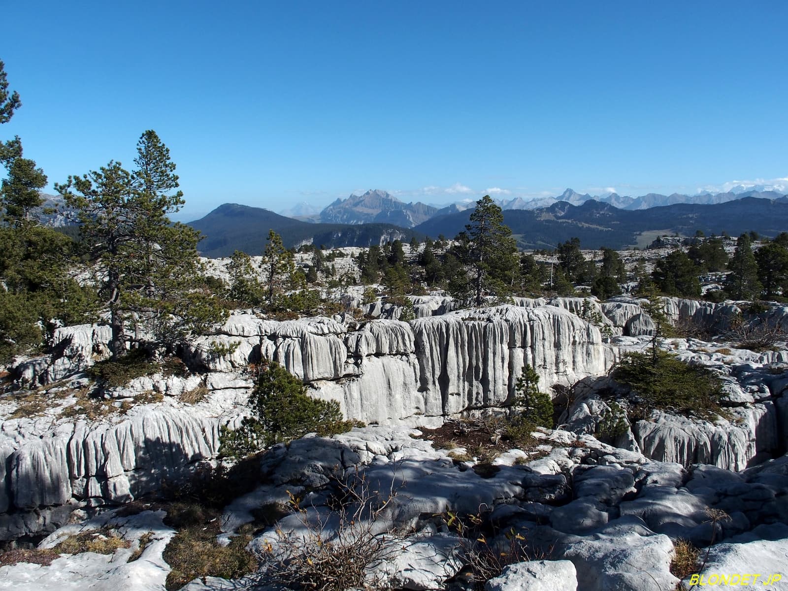 Plateau du Parmelan