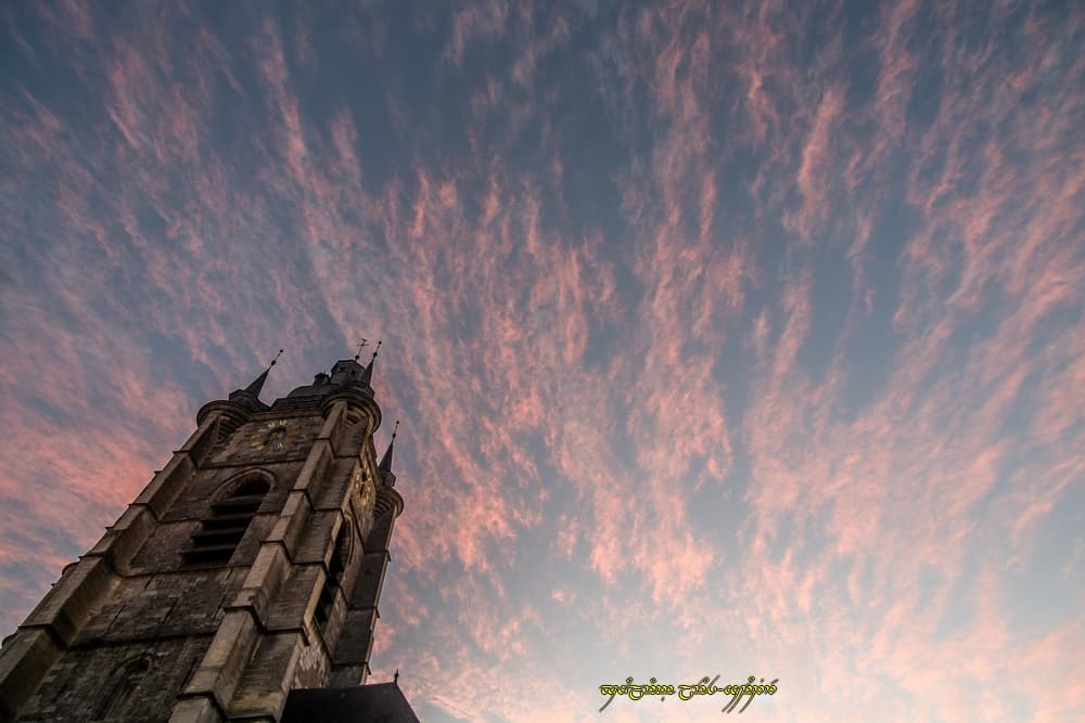 En rose et contre tout !
