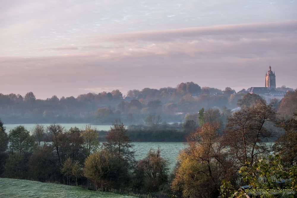L'automne en rose