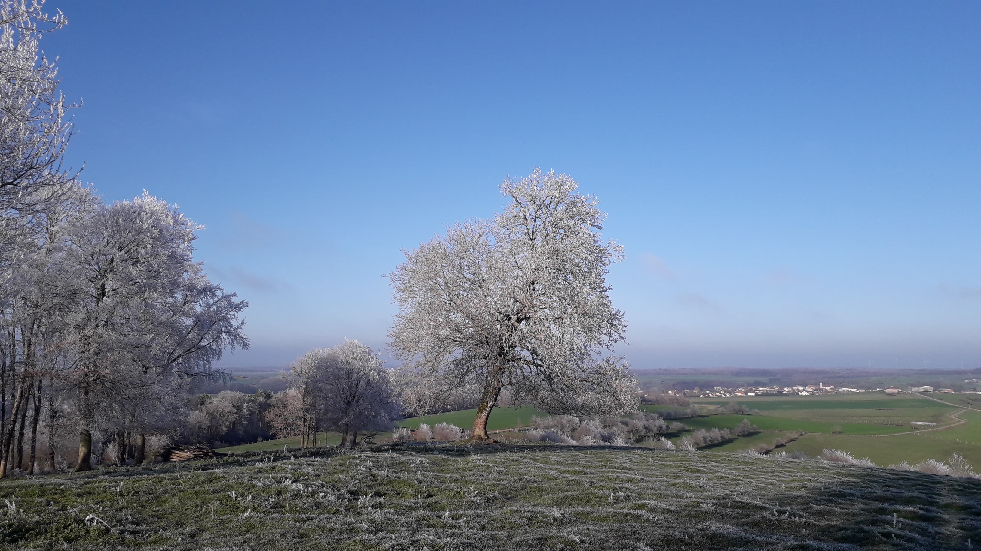 Enfin du soleil