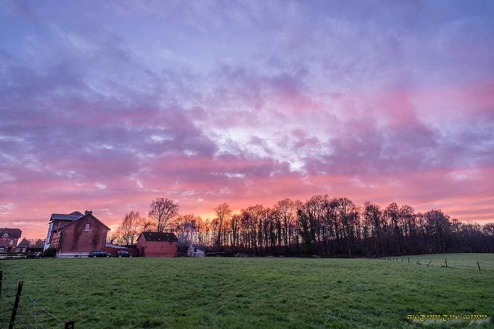 Dernières couleurs