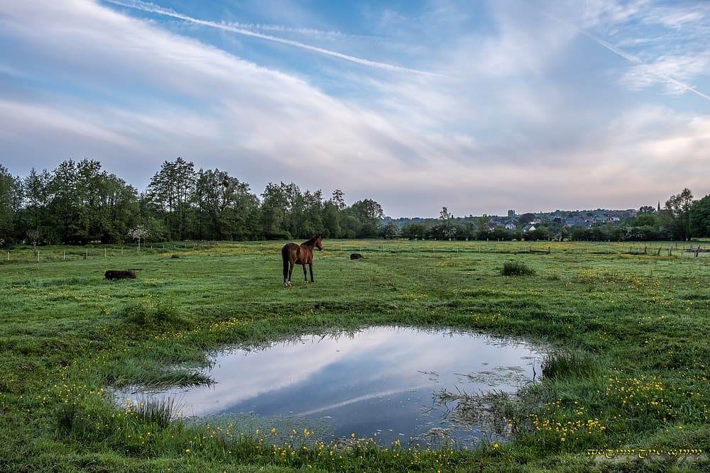 La mare prairiale, tout au fond
