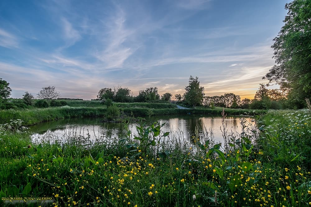 L'étang et les cirrus