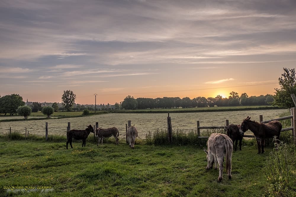 Dans le fond, c'est champêtre par ici