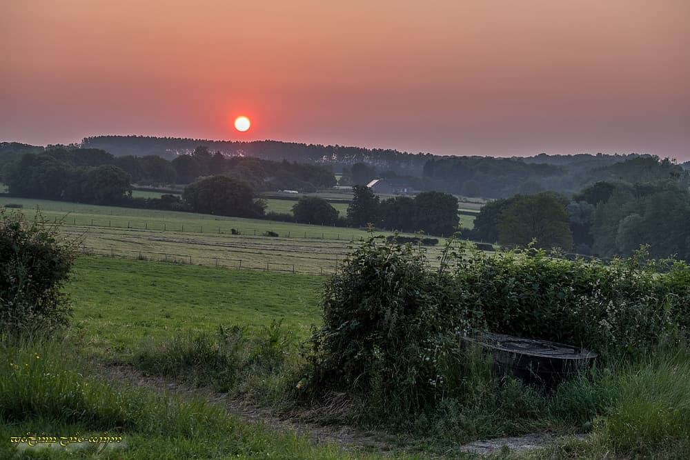 Un soleil bien filtré émerge au-dessus du bocage