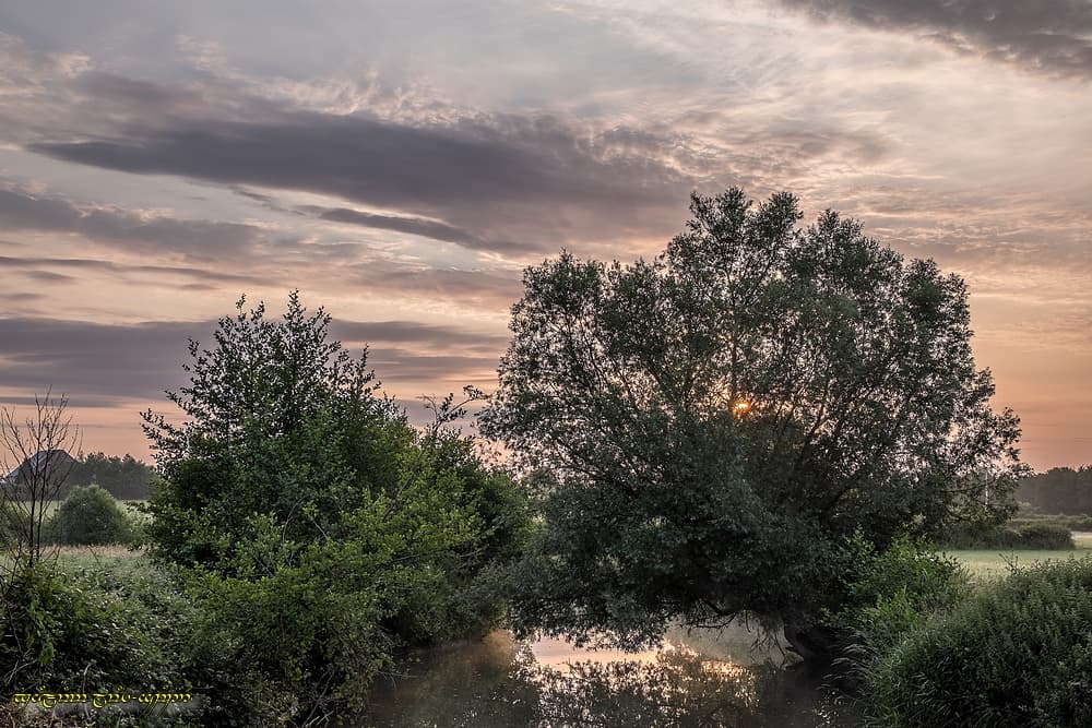 Près de ma rivière