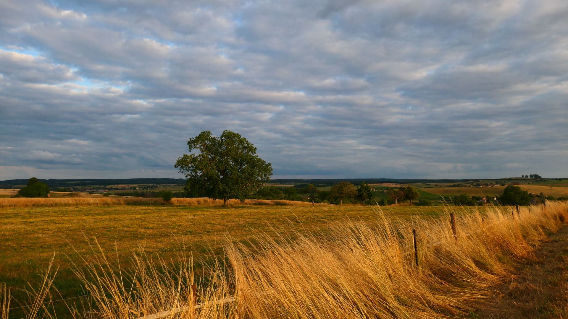 Rayon de fin de journée