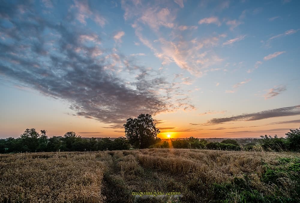 Par-dessus les blés
