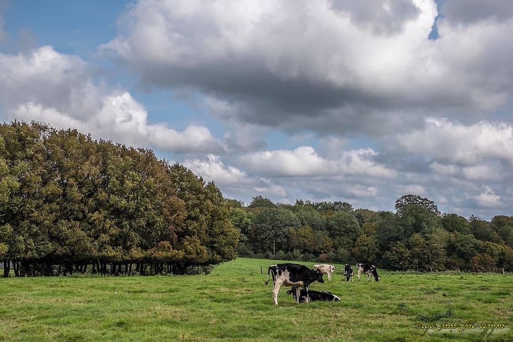 L'automne en douceur