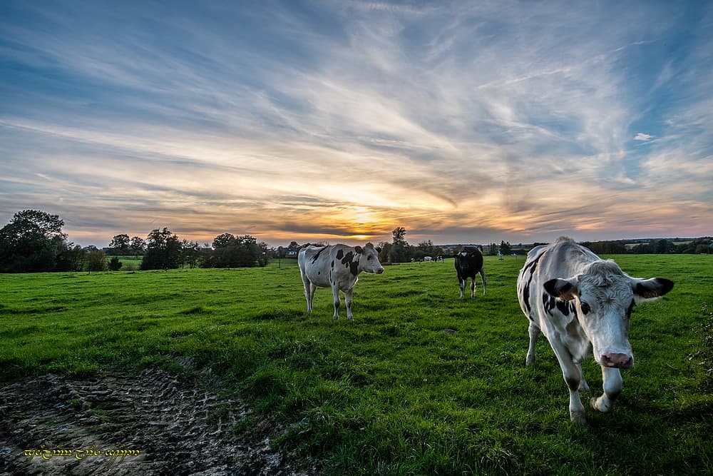 Coucher rural