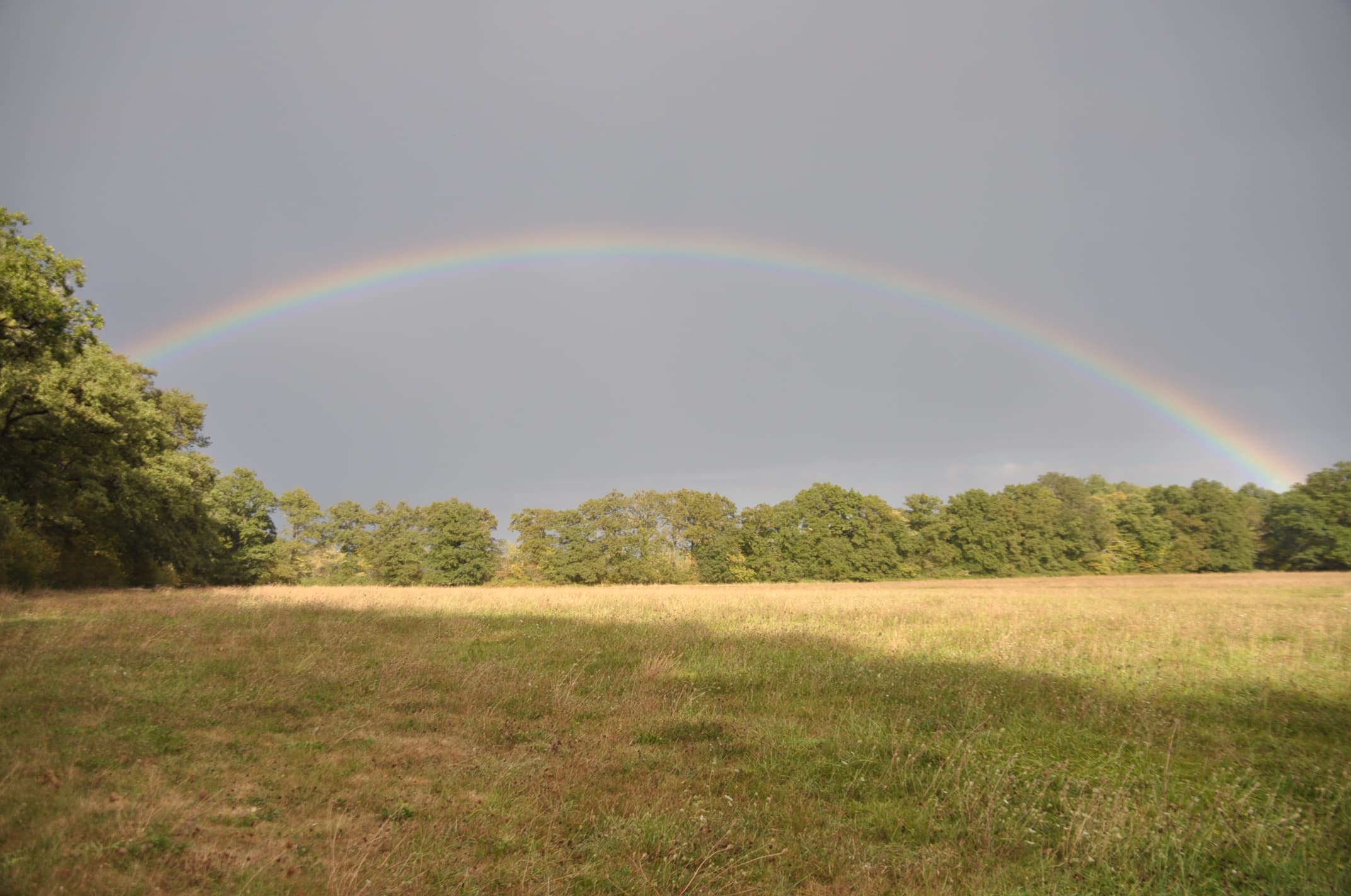 Aprés la pluie ... l'arc en ciel !!!