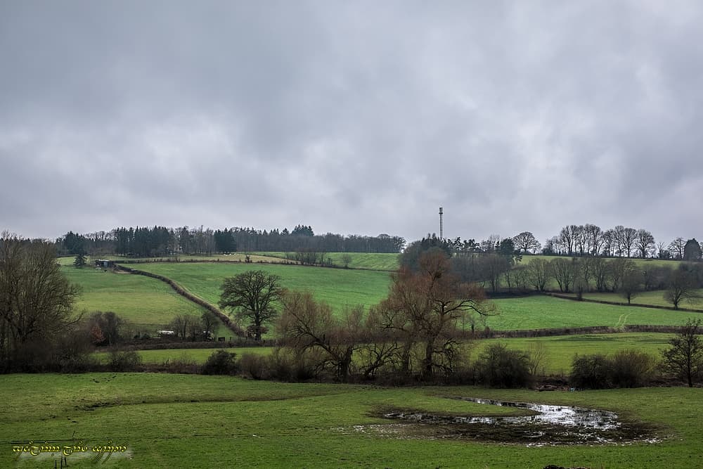Vallée humide