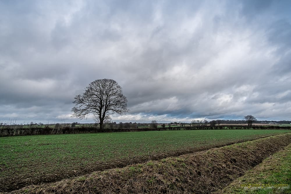 Ciel chargé