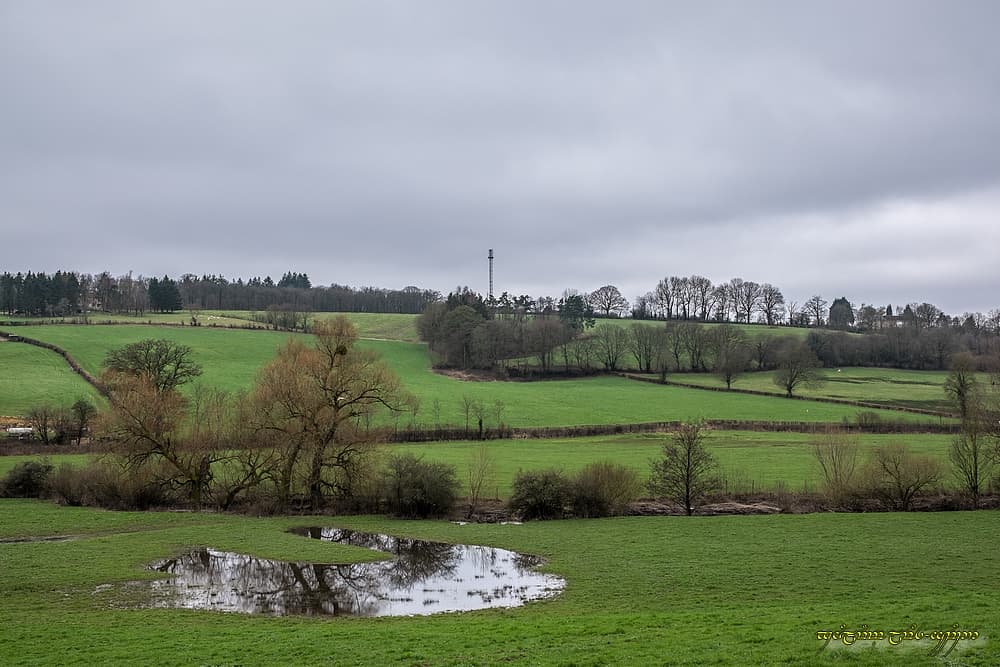 Fond de vallée très humide