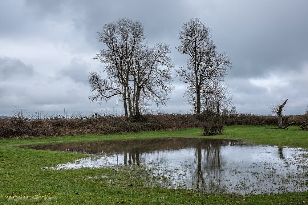 Prairie gorgée d'eau