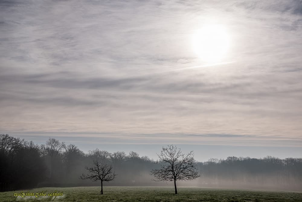 Jumeaux brumeux