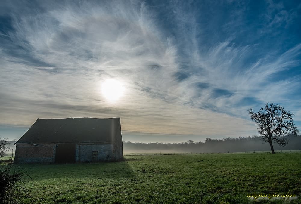 Brume et halo