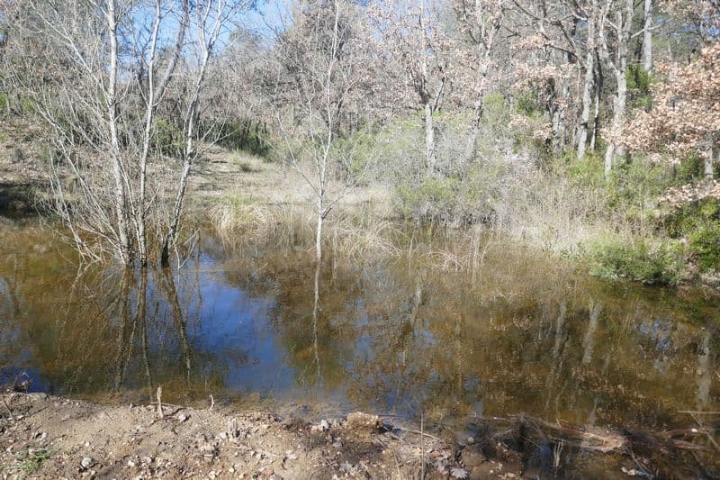 inondation dans les bois de Peynier