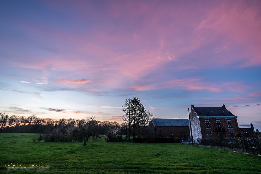 Jolies couleurs de fin de journée