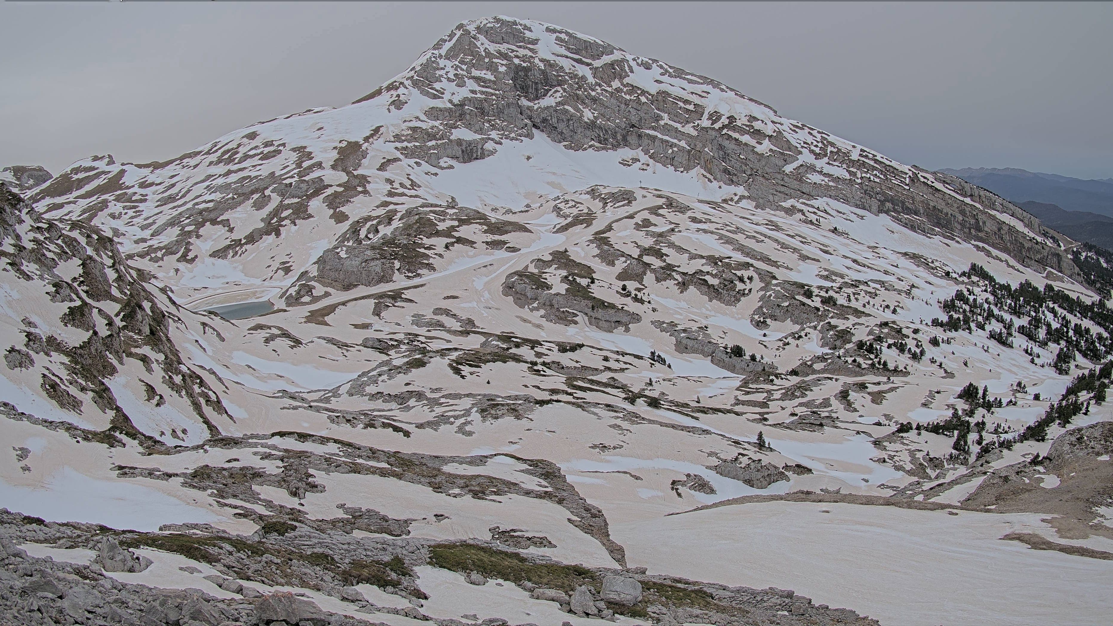 On dirait une peinture, sable sur neige. La Grande Moucherolle.