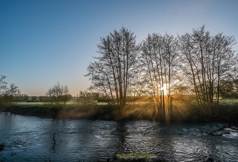 Petite brume potamophile