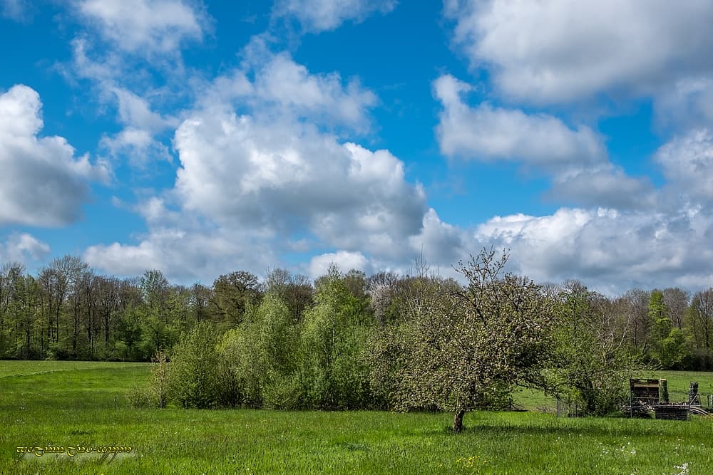 Brève éclaircie