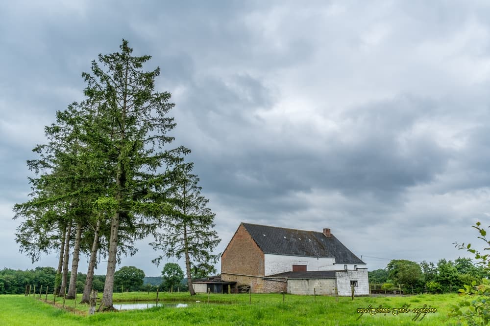 Gris et frais