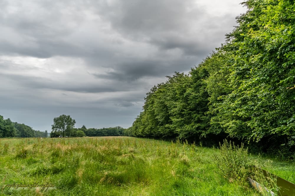 Le gris ne décramponne pas