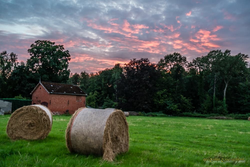 Couleurs de fin de journée