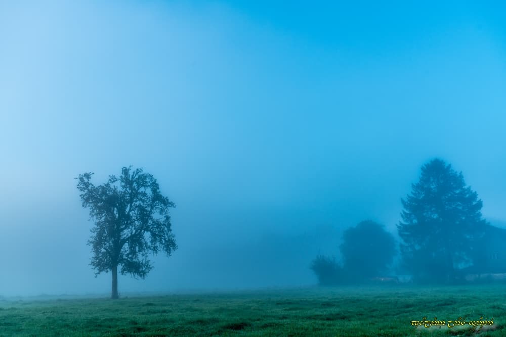 Brouillard consistant