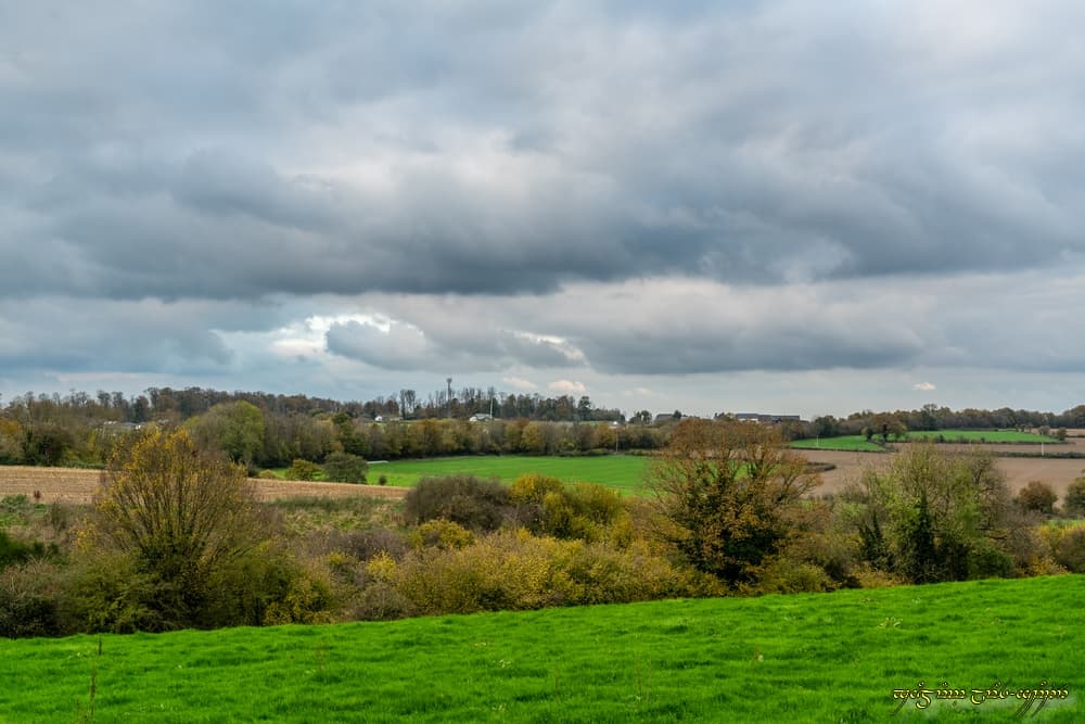 L'automne en gris