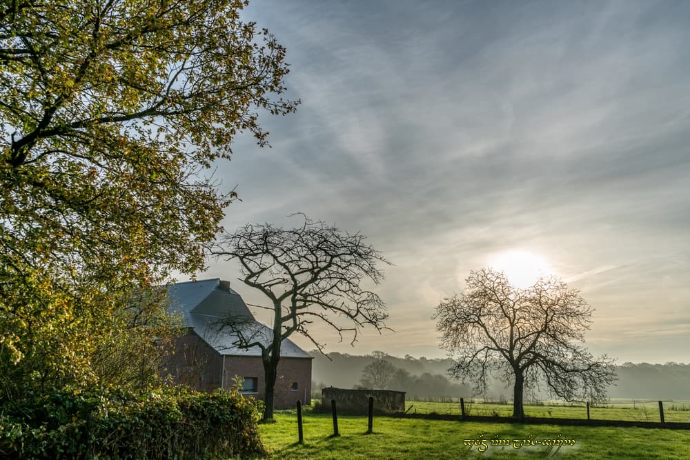 L'automne au soleil
