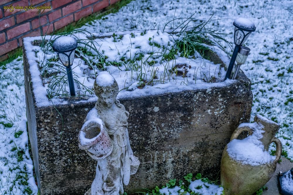 Petite neige