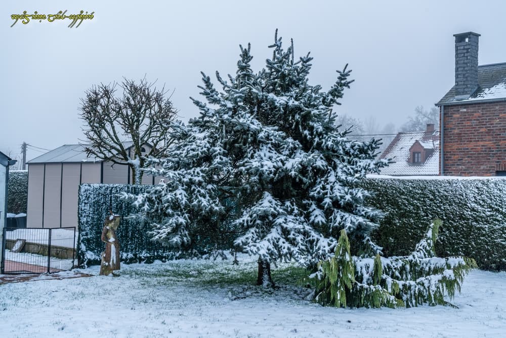 La neige tient