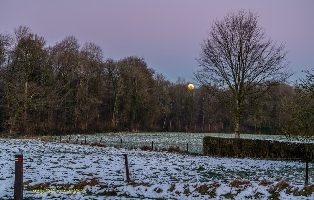 Lune et neige