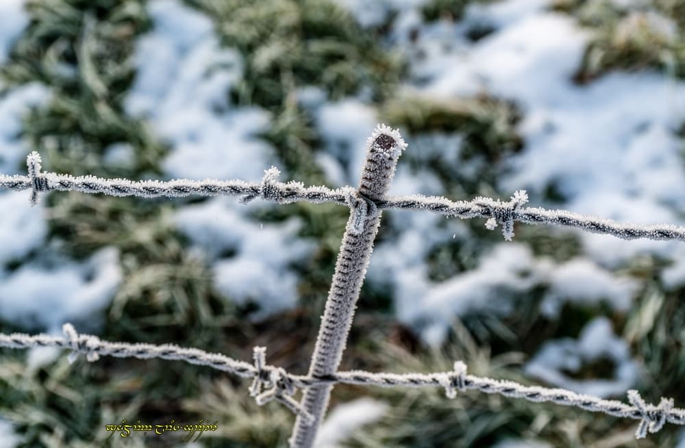 Givre et neige