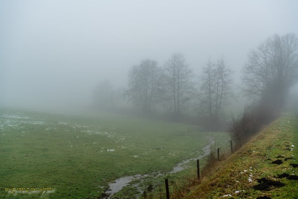 Brouillard hivernal