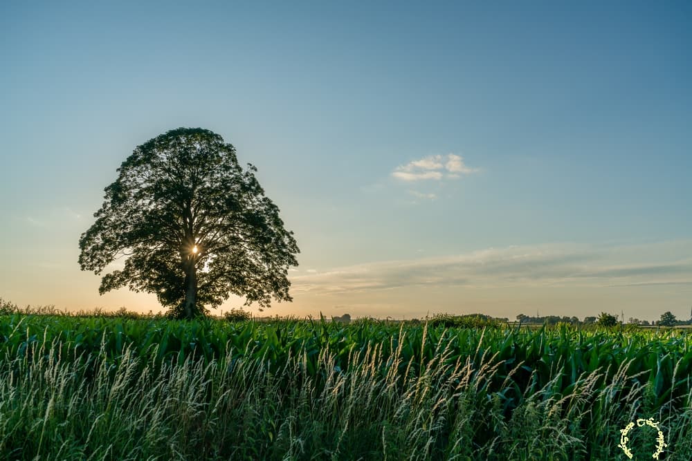 Coucher dégagé