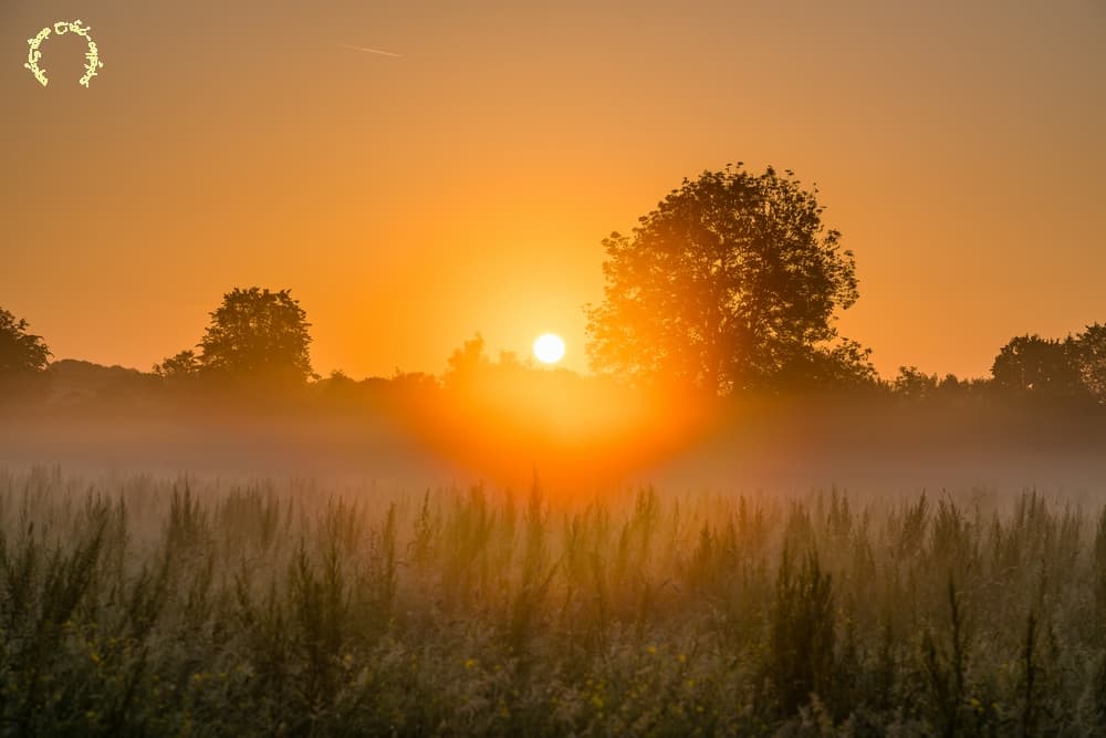 Lumière diffuse
