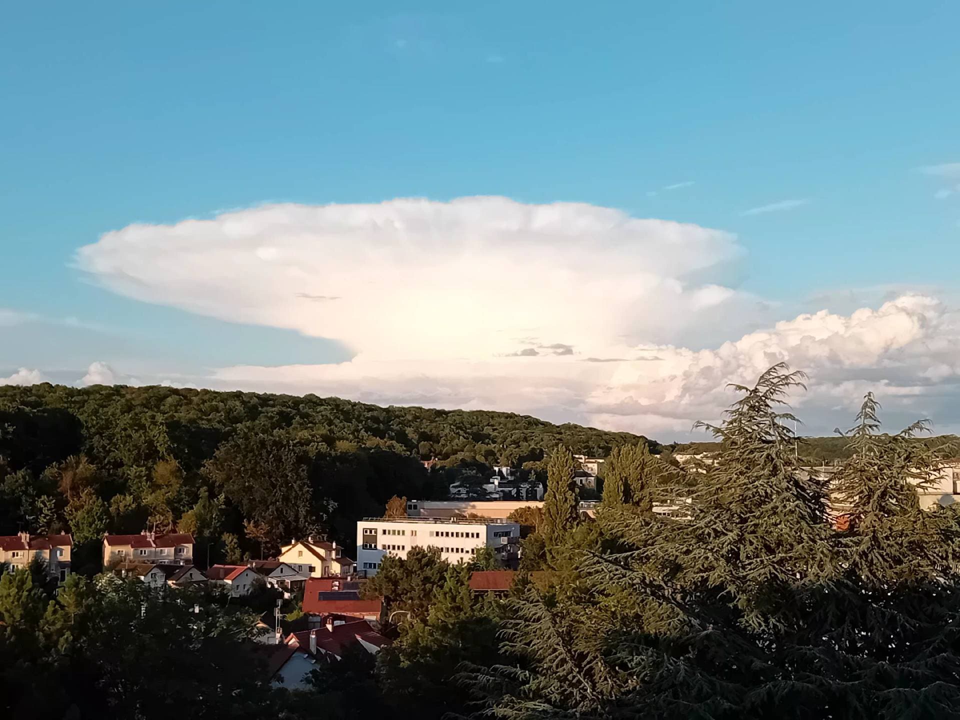 cumulo-nimbus