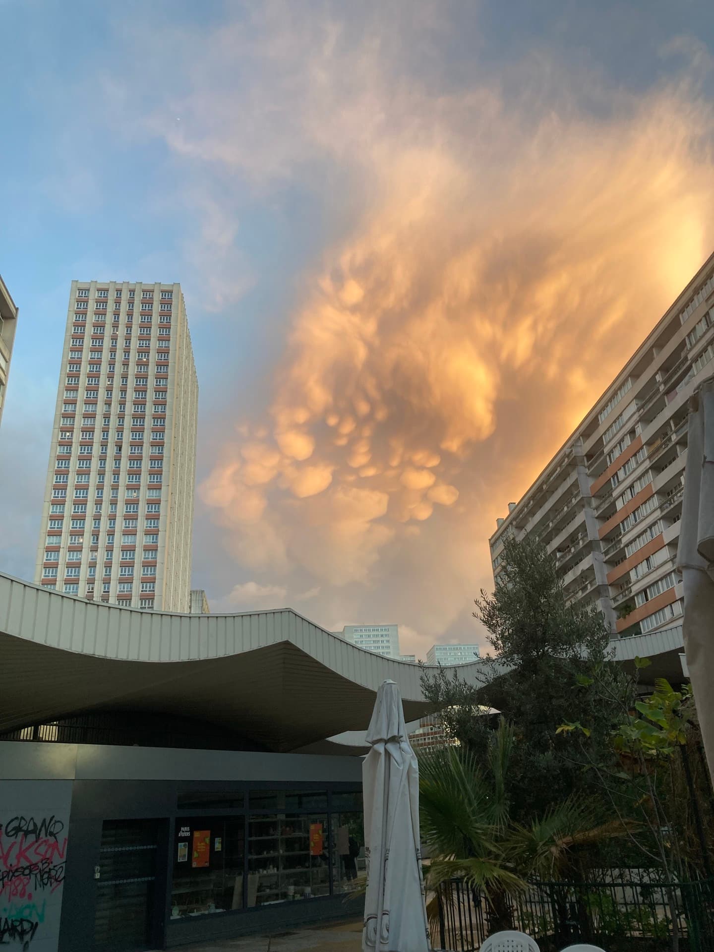 mammatus