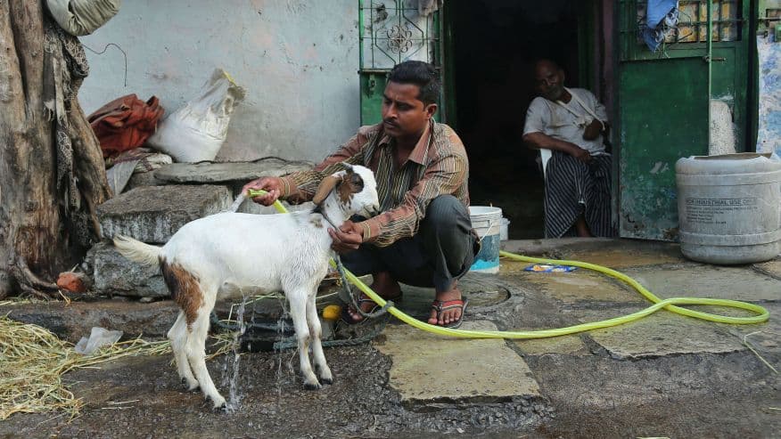 Image d'illustration pour Khasmin, chaleur et canicule du Moyen Orient à l'Inde