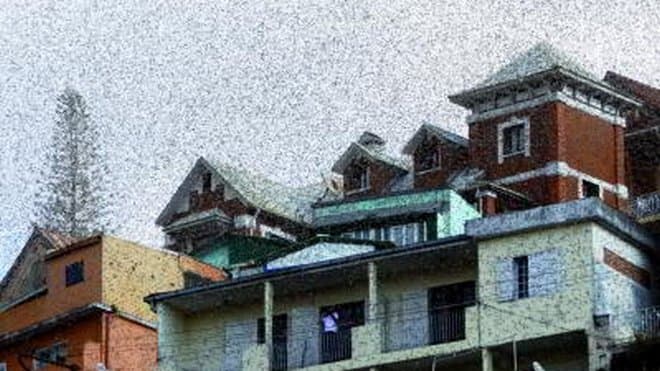 Image d'illustration pour Chaleur et vent favorisent une invasion de criquets à Madagascar