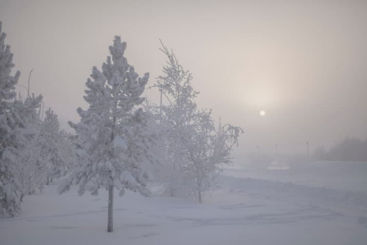 Image d'illustration pour Vague de froid remarquable en Sibérie Occidentale